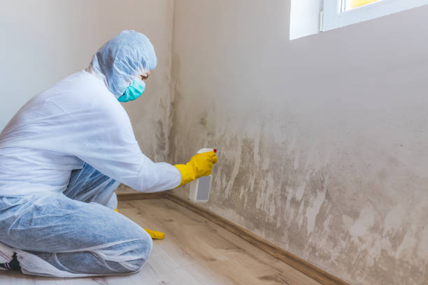 Licensed Commercial Mold Remediation service in Medfield, MA - WQB Mold Removal