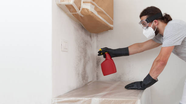 Professional Commercial Mold Remediation technician working in Medfield, MA