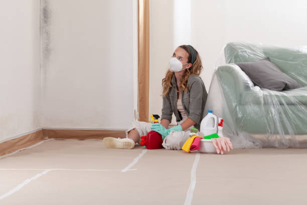 Reliable Commercial Mold Remediation contractor in Medfield, MA by WQB Mold Removal