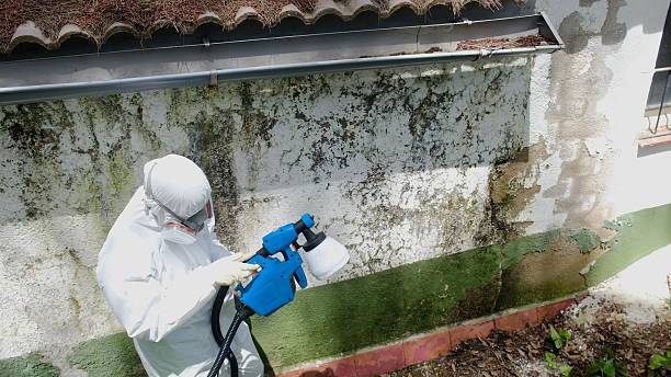 Top rated local Commercial Mold Remediation specialists in Medfield, MA